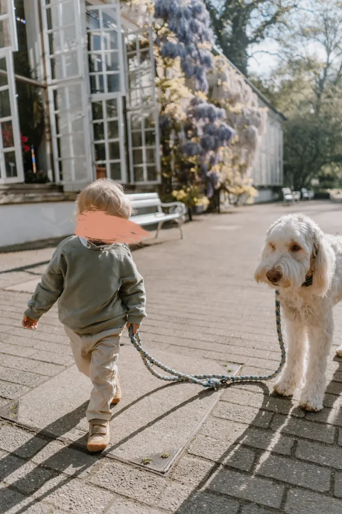 Familienshooting im botanischen Garten in Münster Ein Kleinkind geht mit einem Hund an der Leine auf einem gepflasterten Weg.